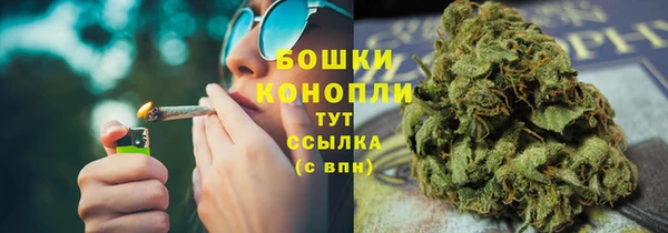ПСИЛОЦИБИНОВЫЕ ГРИБЫ Белоозёрский