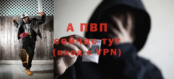 ПСИЛОЦИБИНОВЫЕ ГРИБЫ Белоозёрский