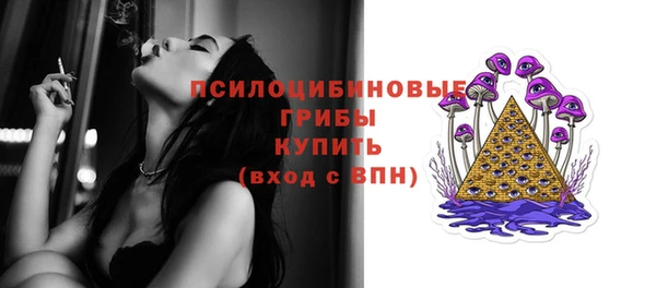 стафф Арсеньев