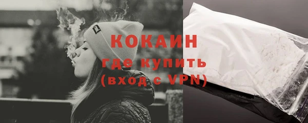 стафф Арсеньев