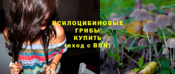 стафф Арсеньев