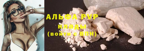 ПСИЛОЦИБИНОВЫЕ ГРИБЫ Белоозёрский